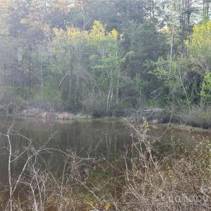 Photo #6 of 11155 US Highway 52, Rockwell, NC 5.8 acres