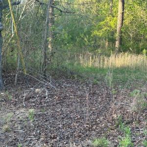 Photo #7 of 11155 US Highway 52, Rockwell, NC 5.8 acres
