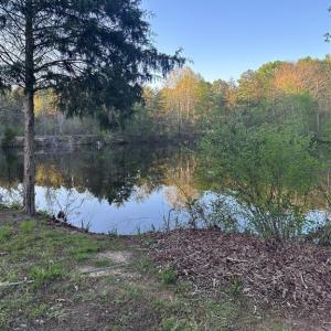 Photo #3 of 11155 US Highway 52, Rockwell, NC 5.8 acres