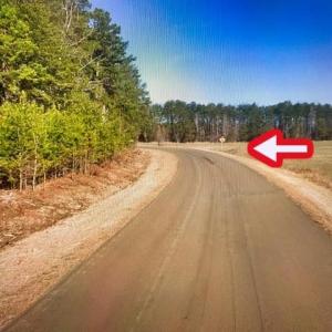 Photo #7 of TBD Terrell School, Semora, NC 54.2 acres