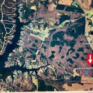 Photo #1 of TBD Terrell School, Semora, NC 54.2 acres