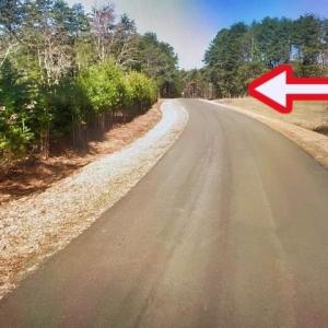 Photo #5 of TBD Terrell School, Semora, NC 54.2 acres