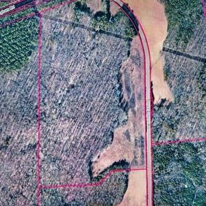 Photo #4 of TBD Terrell School, Semora, NC 54.2 acres