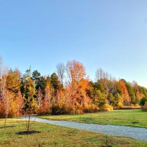 Photo #6 of Hoover Hill, Trinity, NC 32.9 acres