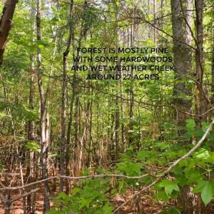 Photo #13 of Hoover Hill, Trinity, NC 32.9 acres