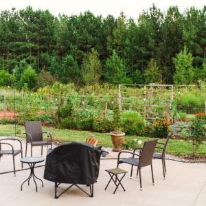 Photo #17 of Hoover Hill, Trinity, NC 32.9 acres