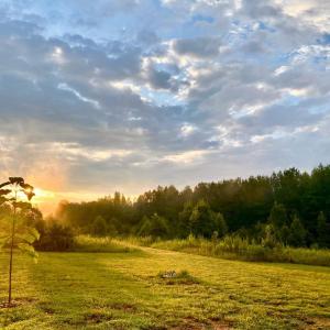 Photo #3 of Hoover Hill, Trinity, NC 32.9 acres