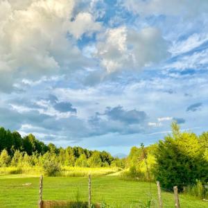 Photo #5 of Hoover Hill, Trinity, NC 32.9 acres