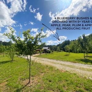 Photo #10 of Hoover Hill, Trinity, NC 32.9 acres