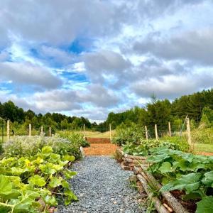 Photo #15 of Hoover Hill, Trinity, NC 32.9 acres
