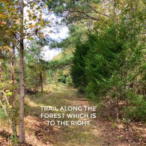 Photo #11 of Hoover Hill, Trinity, NC 32.9 acres