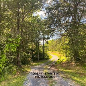 Photo #8 of Hoover Hill, Trinity, NC 32.9 acres