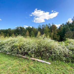 Photo #37 of Hoover Hill, Trinity, NC 32.9 acres