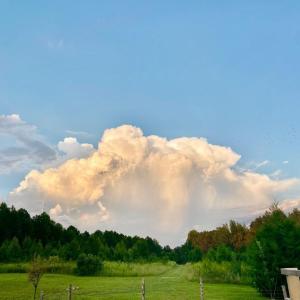 Photo #4 of Hoover Hill, Trinity, NC 32.9 acres