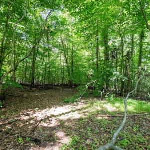 Photo #2 of 6910 Long Meadow, Whitsett, NC 20.6 acres