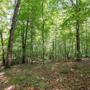 Photo #1 of 6910 Long Meadow, Whitsett, NC 20.6 acres