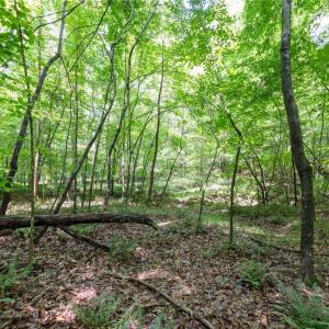 Photo #4 of 6910 Long Meadow, Whitsett, NC 20.6 acres