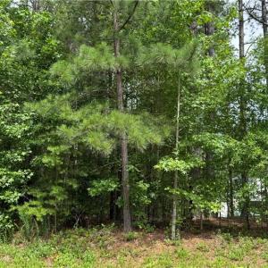 Photo #7 of 1053 Inlet Pointe, Salisbury, NC 0.9 acres