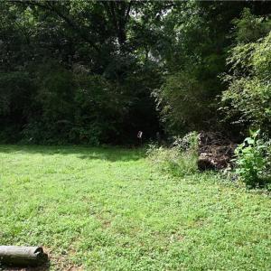 Photo #23 of Waddells Ferry, Seagrove, NC 6.6 acres
