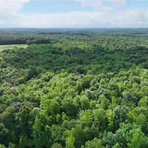 Photo #12 of Waddells Ferry, Seagrove, NC 6.6 acres