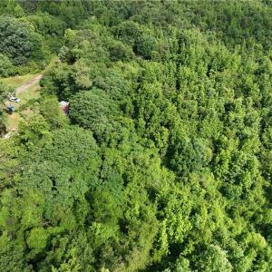 Photo #7 of Waddells Ferry, Seagrove, NC 6.6 acres