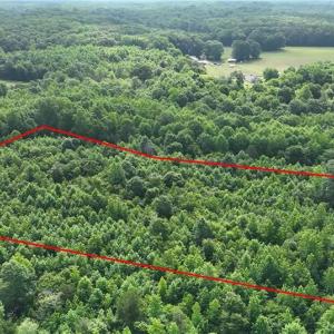 Photo #1 of Waddells Ferry, Seagrove, NC 6.6 acres