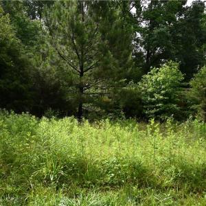 Photo #28 of Waddells Ferry, Seagrove, NC 6.6 acres