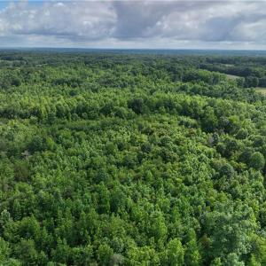 Photo #14 of Waddells Ferry, Seagrove, NC 6.6 acres