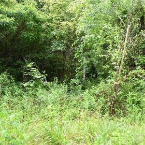 Photo #25 of Waddells Ferry, Seagrove, NC 6.6 acres