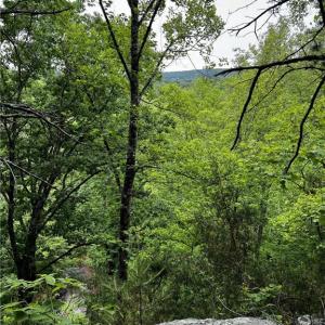 Photo #6 of MARSHALL RIDGE, Pinnacle, NC 99.0 acres