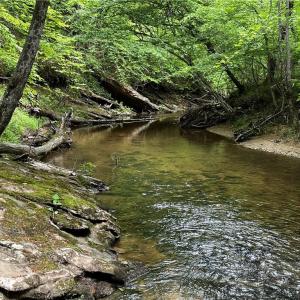 Photo #5 of MARSHALL RIDGE, Pinnacle, NC 99.0 acres