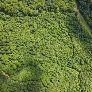 Photo #12 of Bear Trail, Cana, VA 11.0 acres
