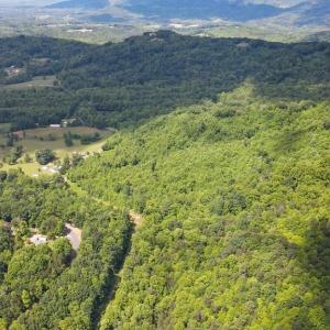 Photo #7 of Bear Trail, Cana, VA 11.0 acres