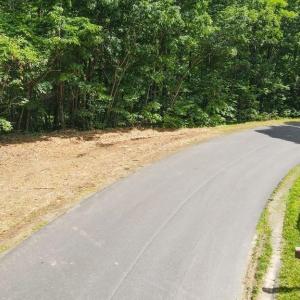 Photo #2 of Bear Trail, Cana, VA 11.0 acres