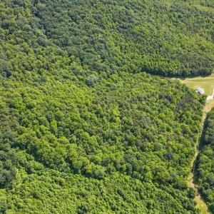 Photo #13 of Bear Trail, Cana, VA 11.0 acres