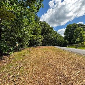 Photo #17 of Bear Trail, Cana, VA 11.0 acres