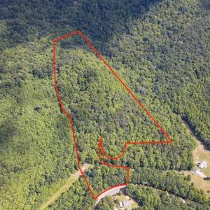 Photo #1 of Bear Trail, Cana, VA 11.0 acres