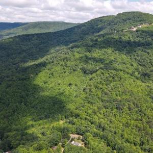 Photo #5 of Bear Trail, Cana, VA 11.0 acres