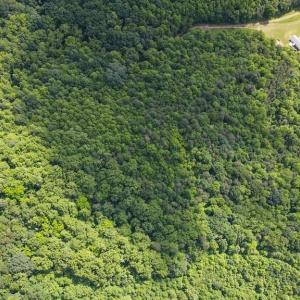 Photo #10 of Bear Trail, Cana, VA 11.0 acres