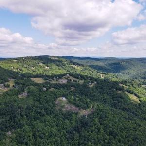 Photo #14 of Bear Trail, Cana, VA 11.0 acres