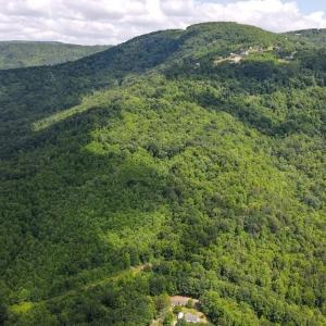 Photo #4 of Bear Trail, Cana, VA 11.0 acres