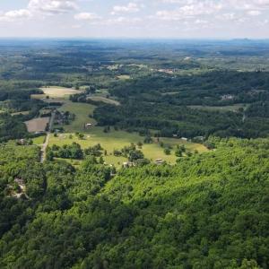 Photo #8 of Bear Trail, Cana, VA 11.0 acres