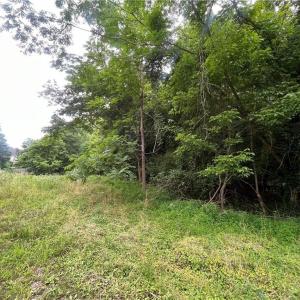 Photo #6 of 3400 Herron, High Point, NC 0.5 acres