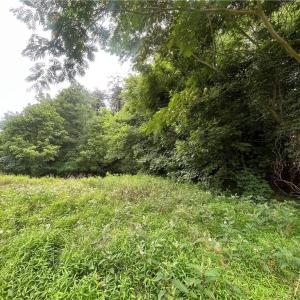 Photo #4 of 3400 Herron, High Point, NC 0.5 acres
