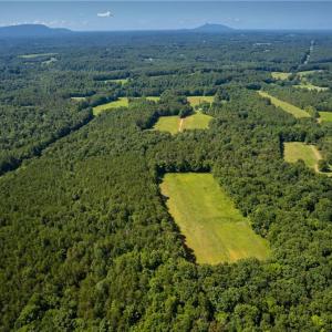 Photo #6 of 1135 Daisy Creek Farm, Westfield, NC 57.6 acres