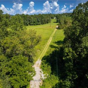 Photo #13 of 1135 Daisy Creek Farm, Westfield, NC 57.6 acres