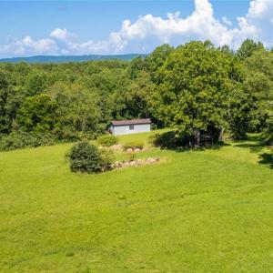 Photo #17 of 1135 Daisy Creek Farm, Westfield, NC 57.6 acres