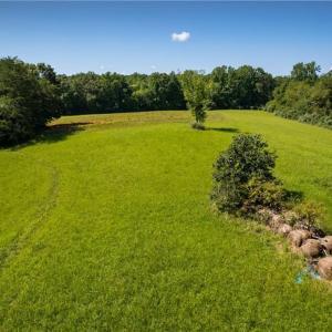 Photo #16 of 1135 Daisy Creek Farm, Westfield, NC 57.6 acres