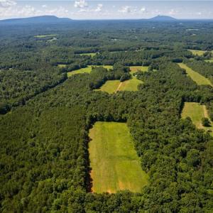 Photo #22 of 1135 Daisy Creek Farm, Westfield, NC 57.6 acres