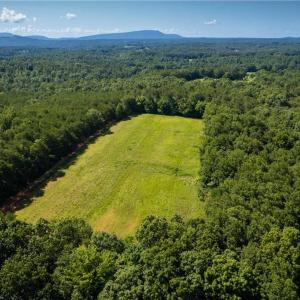 Photo #7 of 1135 Daisy Creek Farm, Westfield, NC 57.6 acres